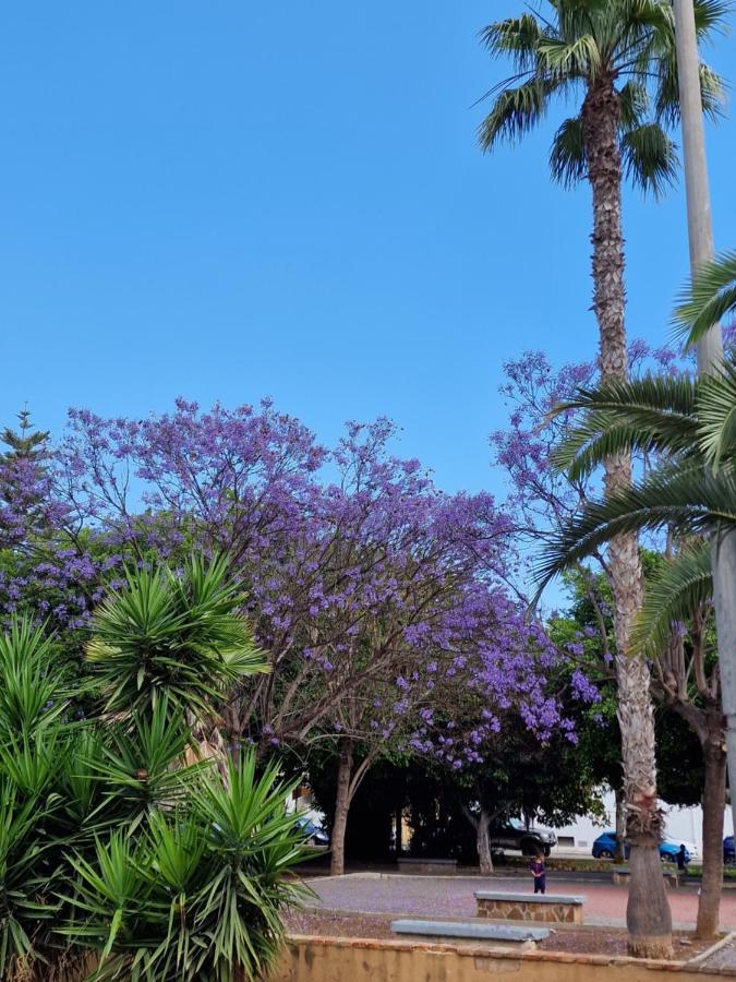 "Vero Vijola" In Torrevieja Eksteriør billede