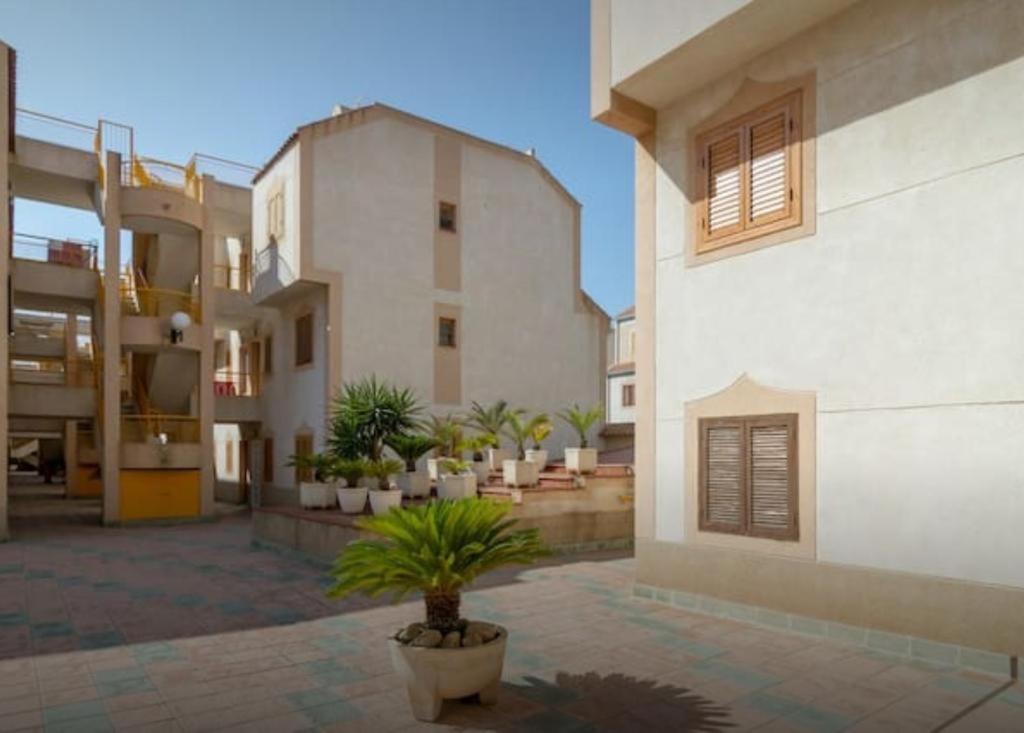 "Vero Vijola" In Torrevieja Eksteriør billede